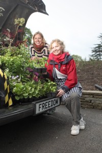 Picture by Gabriel Szabo/Guzelian Hull has a bee in its bonnet for City of Culture 2017 - with Hull artist Adele Howitt's [RED COAT, APPRON] black cab garden car creation heading for the Chelsea Fringe Festival this week. Adele, along with her art partner Fiona Weir, have been supported by the Freedom board, and have been invited to take their creation -  a traditional black cab festooned with hundreds of colourful bee-friendly plants to the fringe festival at the Horniman Museum in Forest Hill. Adele, artist and designer, and Fiona Weir, landscape architect and bee specialist from the Yorkshire Wildlife Trust worked on the project which encourages partnerships that combine art and science working together to plant temporary beelines and insect friendly gardens in the most unexpected scenarios. 